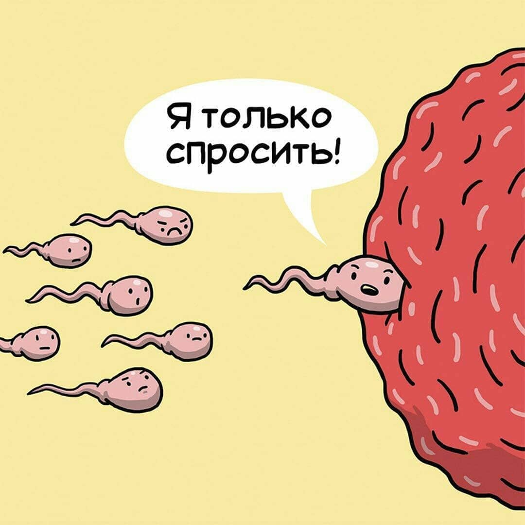10 забавных комиксов о нелёгкой, но весёлой жизни внутренних органов человека
