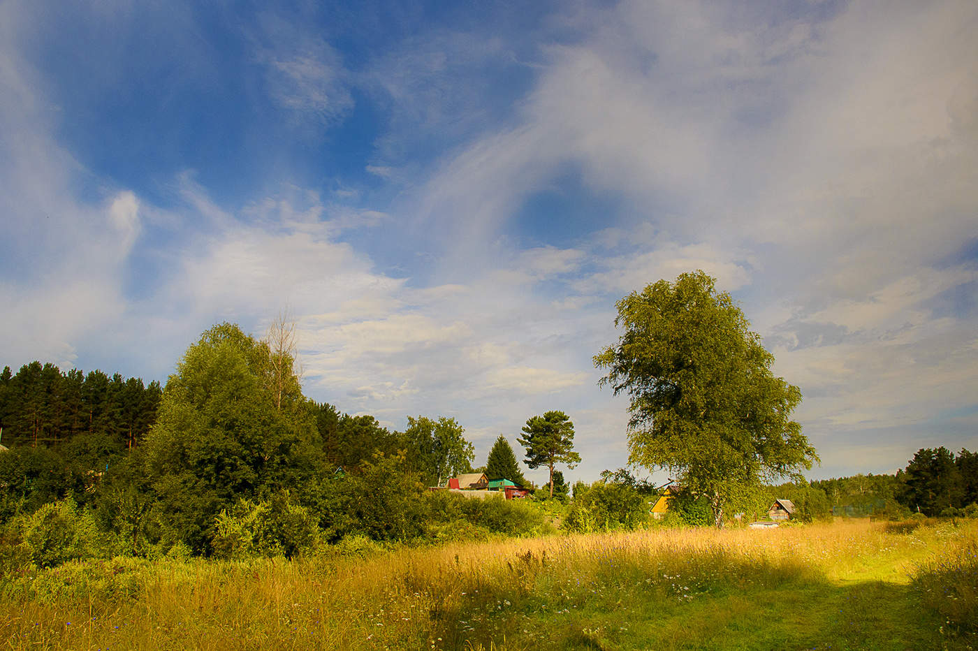 Фото июнь в деревне