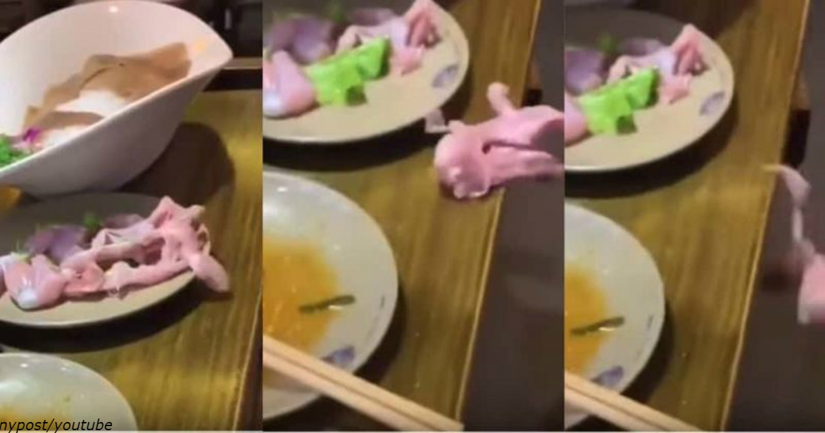 Ужасающее видео, как сырая куриная грудка ″убегает с тарелки″ в ресторане
