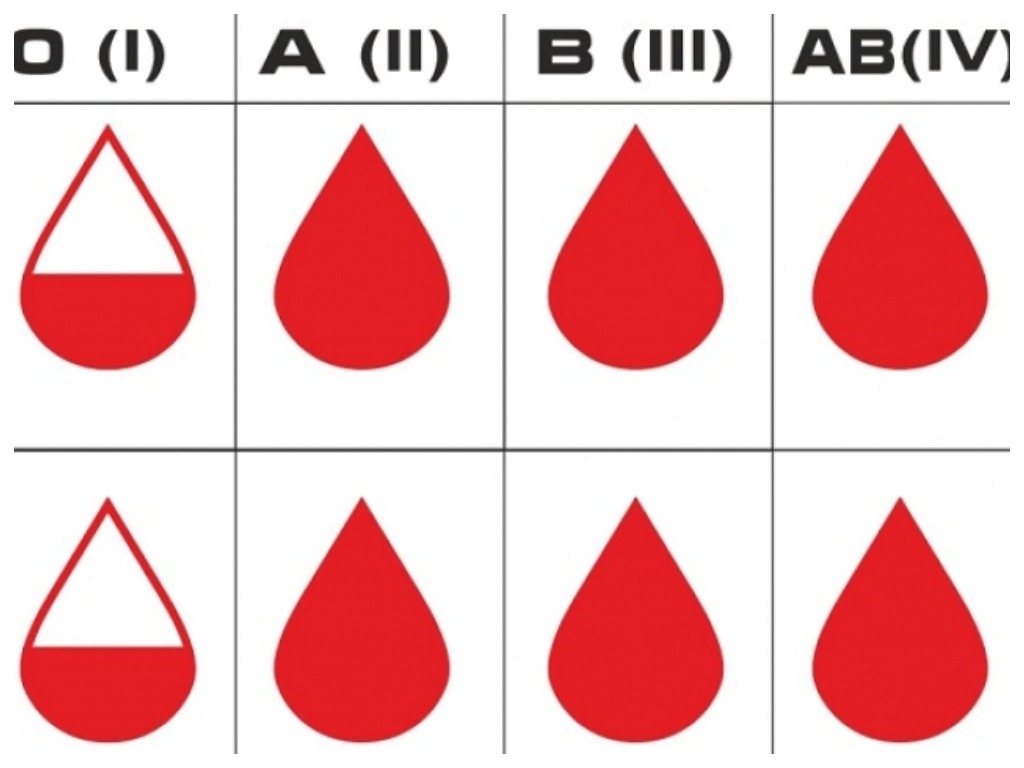 Группы крови человека картинка