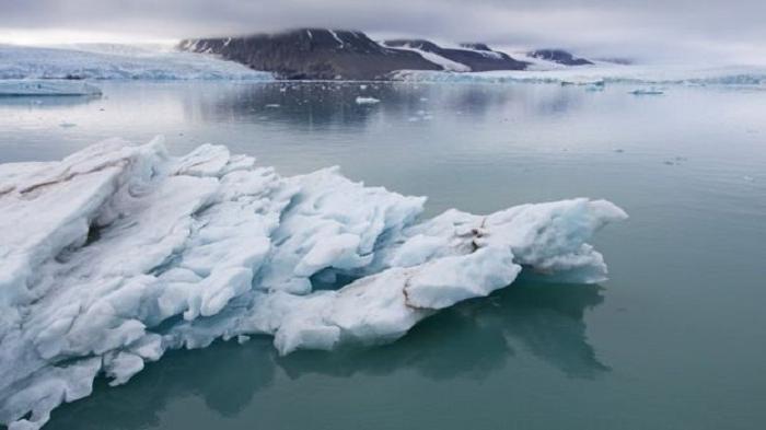 Были выявлены частицы пластика, выпавшие с осадками в Арктике; экология севера не такая уж и чистая