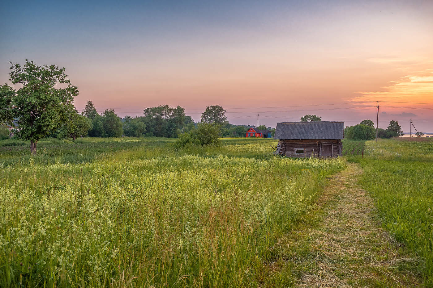 Фото июнь в деревне