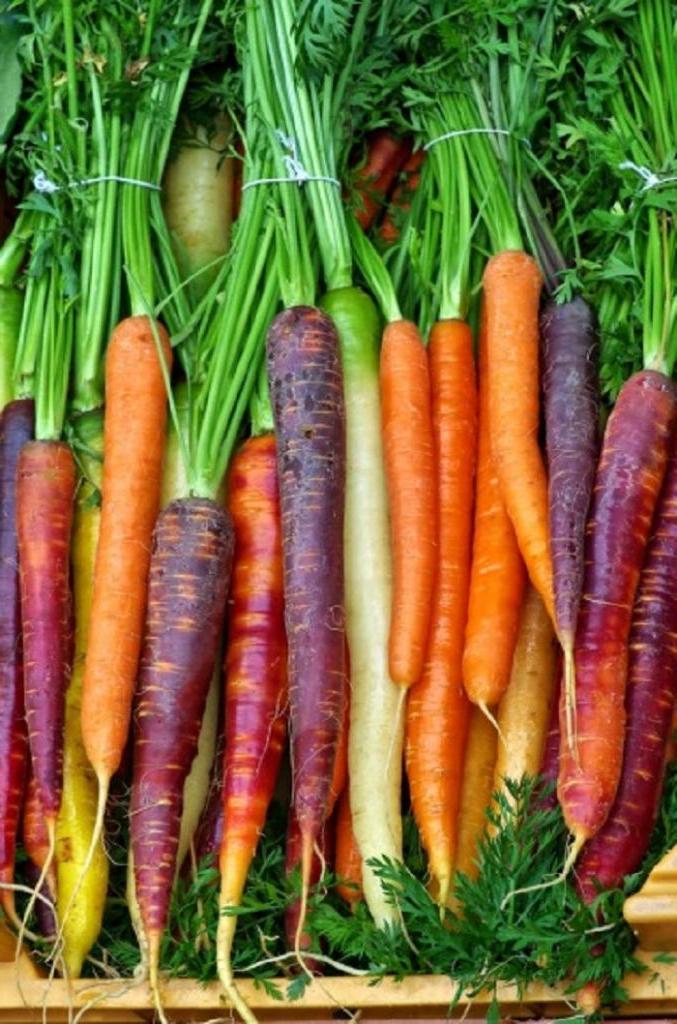 Томат, морковь и соленья: продукты питания, которые нельзя хранить в холодильнике