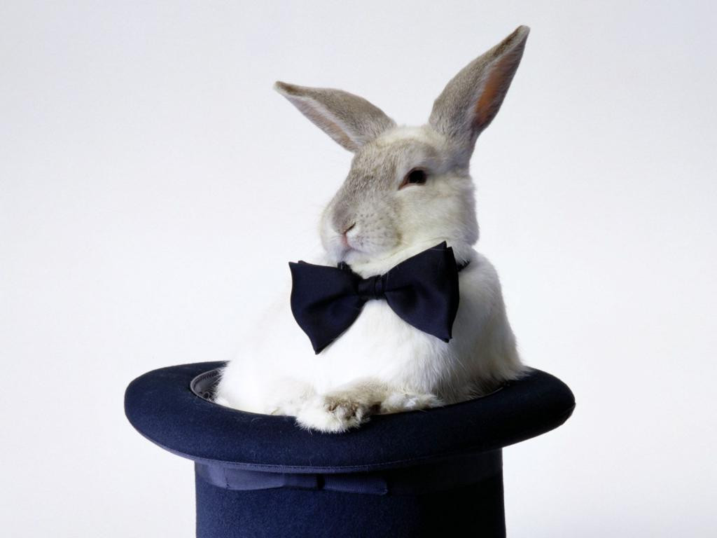 5 фокусов: кролик в шляпе, левитация и другие  загадки , которые давно уже раскрыты