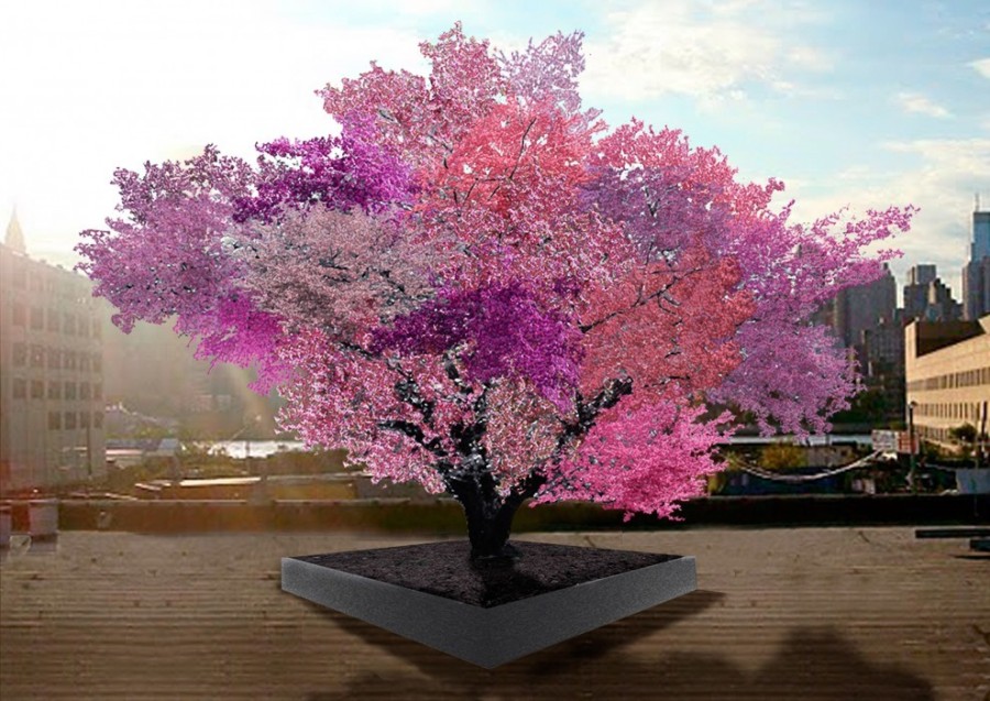 А вы хотели бы иметь на одном дереве плоды сорока видов фруктов? Ван Акен пытается выращивать такие деревья и делится опытом