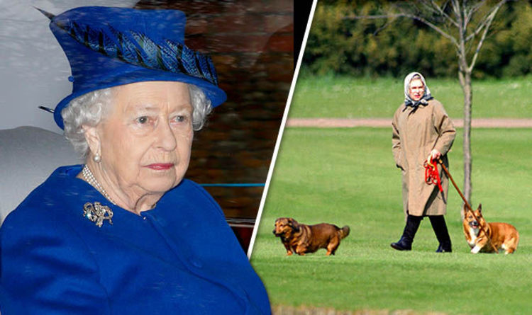 Долголетие королевы. Секрет долголетия Елизаветы 2. Собаки породы корги и Королева Великобритании. Фото Елизаветы 2 секрет долголетия.