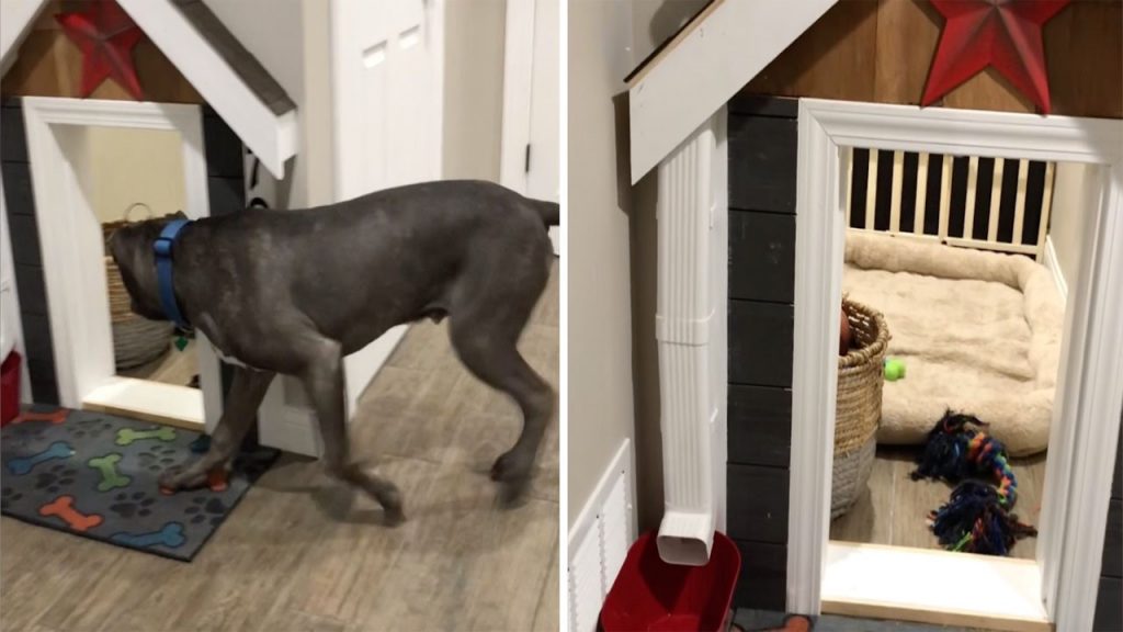 Мужчина построил своим собачкам домик под лестницей со светом и водопроводом