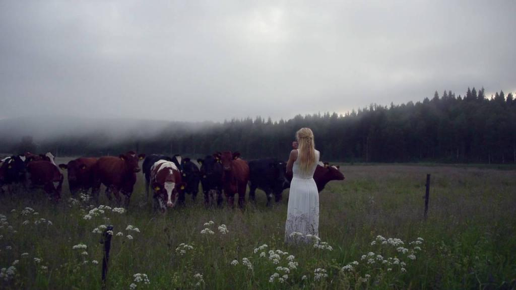 Шведская Белоснежка: женщина использует пение для привлечения внимания коров и диких птиц