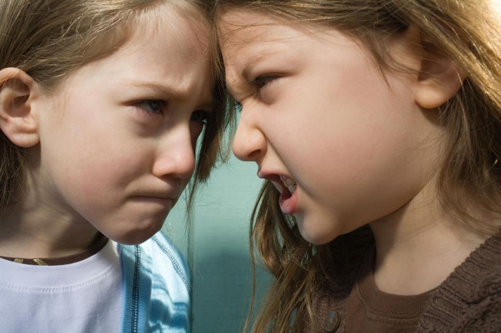 Как помочь нашим детям разрешать конфликты правильно: 5 советов, которые подготовят вашего ребенка к взрослой жизни
