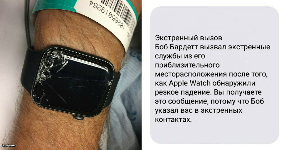 Apple Watch вызвали скорую велосипедисту, поняв, что он упал   и спасли ему жизнь