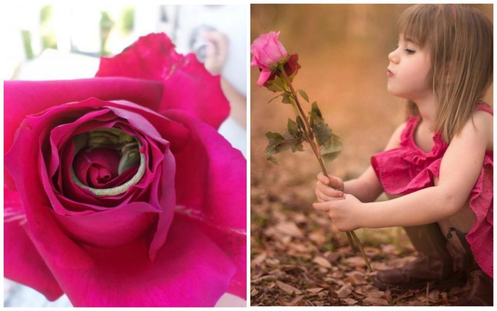 Дочь принесла маме розу: внутри цветка ее ожидал приятный сюрприз