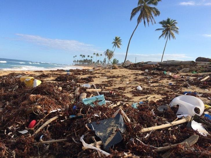 8 стран, которые объявили войну пластику: интересные законопроекты со всего мира