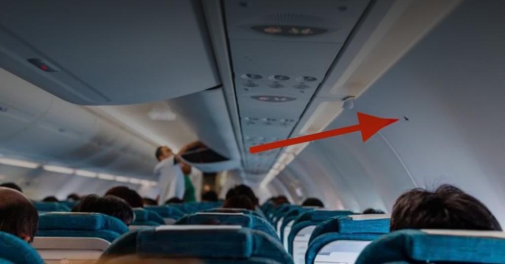 Для чего нужен маленький треугольник в самолете: для хорошего фото и безопасности