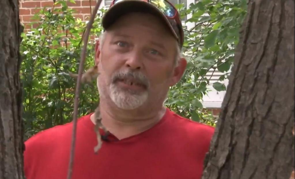 Мужчина срубал старое дерево и нашел в нем предмет, который пролежал 150 лет