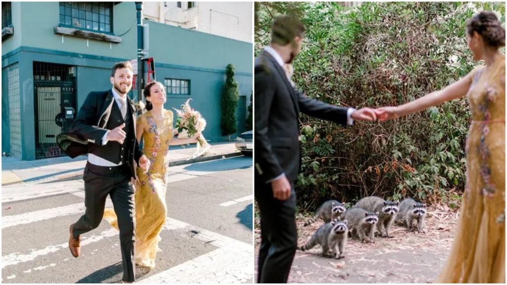 Неожиданные гости: любопытные еноты прерывают свадебную фотосессию, но молодые не против