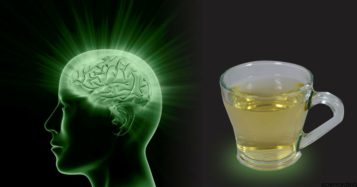 Если вы пьете чай, то обязаны знать, что он делает с вашим мозгом