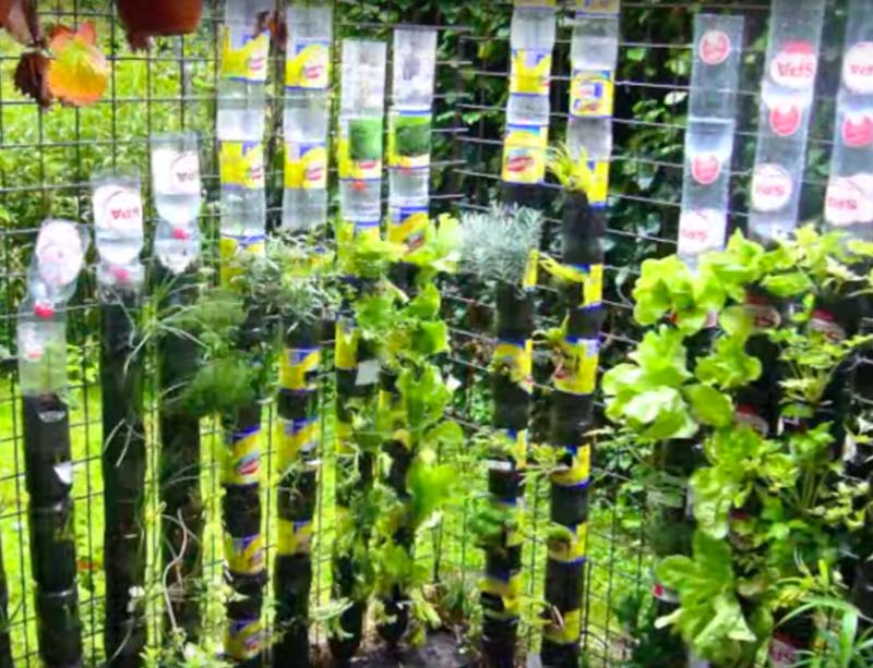 Вертикальный сад из пластиковых бутылок своими руками
