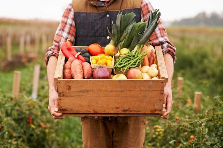 Синяки, усталость, судороги: 8 явных признаков того, что вы едите недостаточно овощей