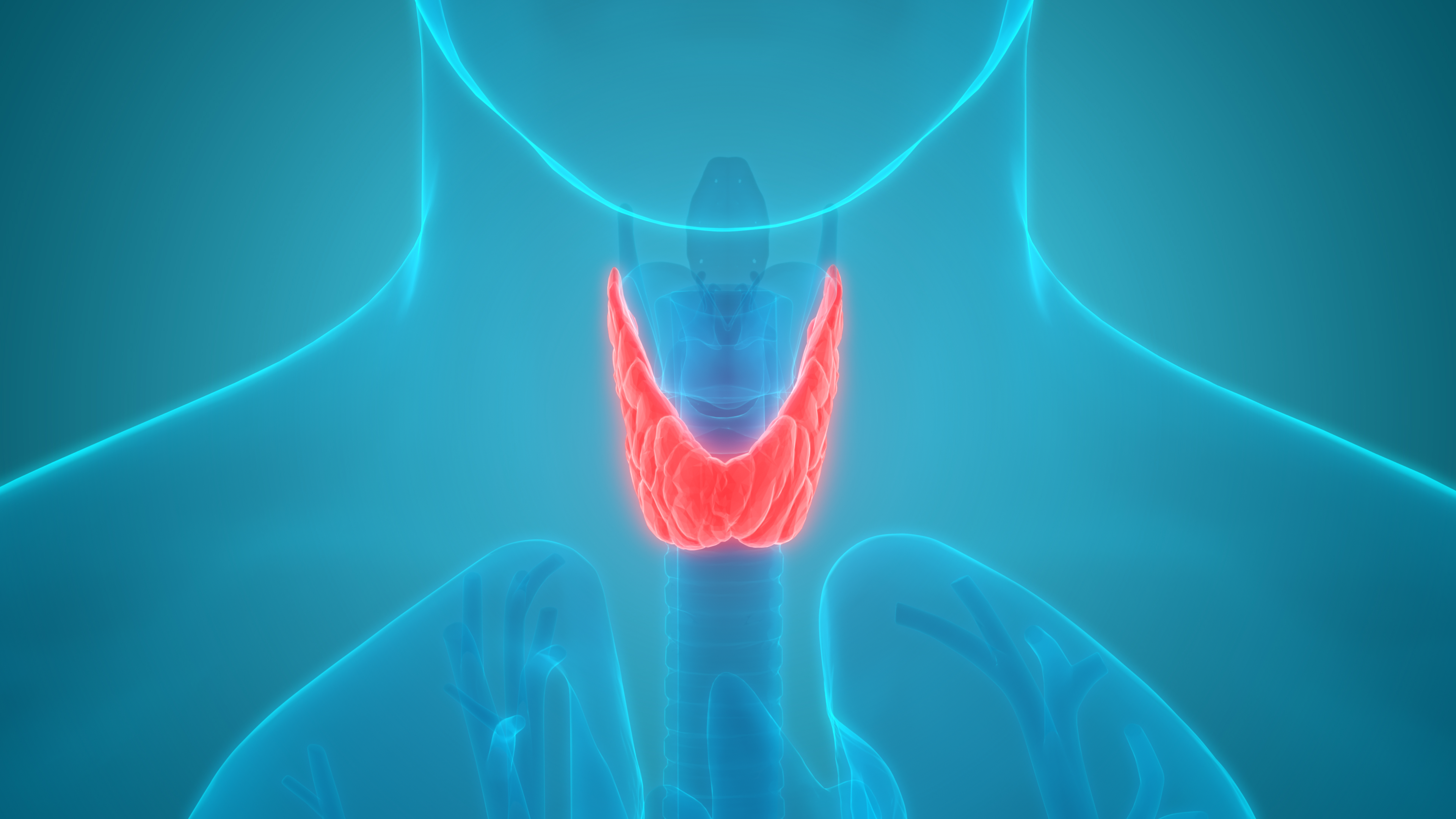 Эндокринология 2023. Shitovidnoe Jeleza. Здоровая щитовидная железа. Изображение щитовидной железы.