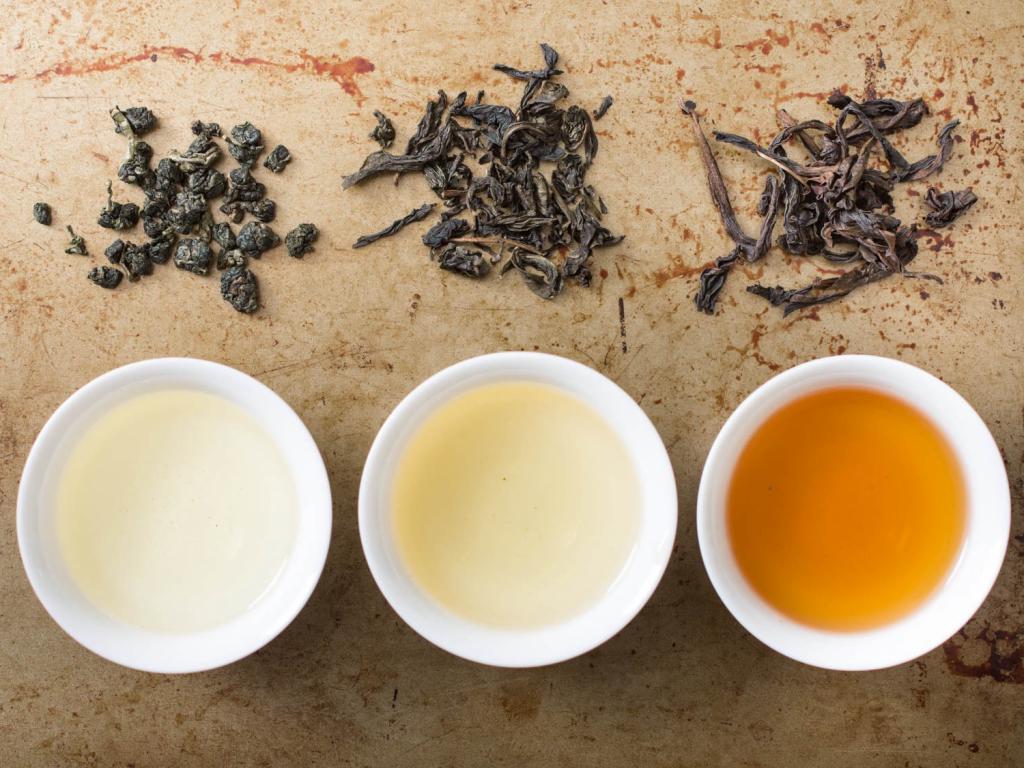 Черный, зеленый или травяной: выбираем чай, идеально подходящий по группе крови