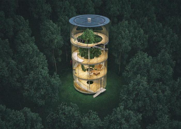 Прозрачный дом вокруг дерева: архитектор из Казахстана придумал новую концепцию