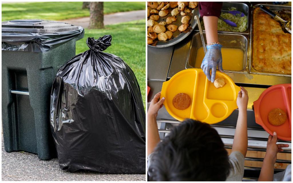 Сдать мусор в обмен на обед и проезд: самые креативные экологические инициативы современности
