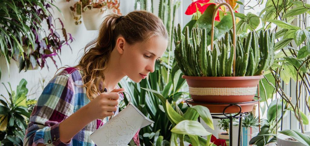 Исследователи доказали, что женщины, чьи дома находятся в окружении растений, меньше подвержены риску различных заболеваний