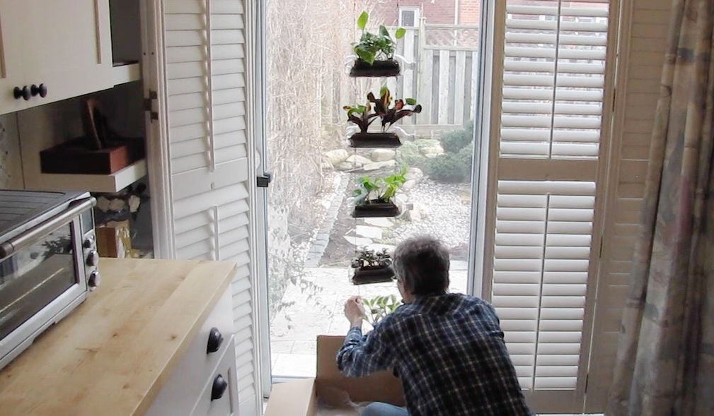 Мой дедушка обожает выращивать комнатные растения: он организовал вертикальный сад из пластиковых бутылок у себя дома