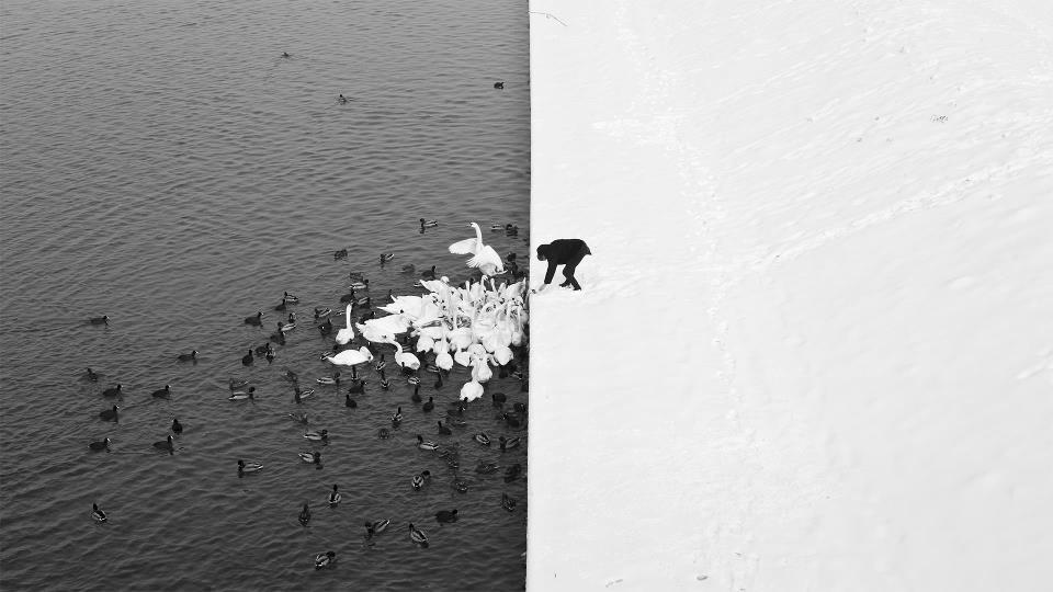 Такие модные черно-белые фотографии: лайфхаки и хитрости от профессионального фотографа