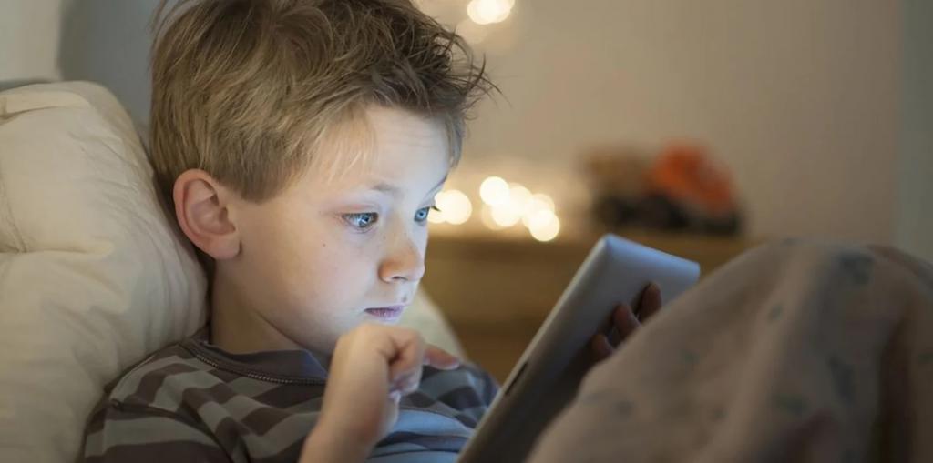 Не выкладывать личную информацию: чему нужно научить детей, прежде чем они получат неограниченный доступ в Интернет