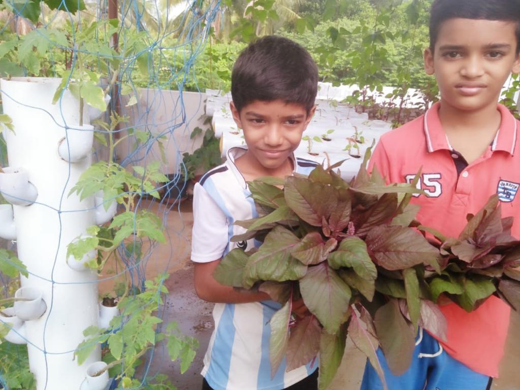 Домохозяйка из Индии придумала, как на маленьком участке выращивать больше овощей