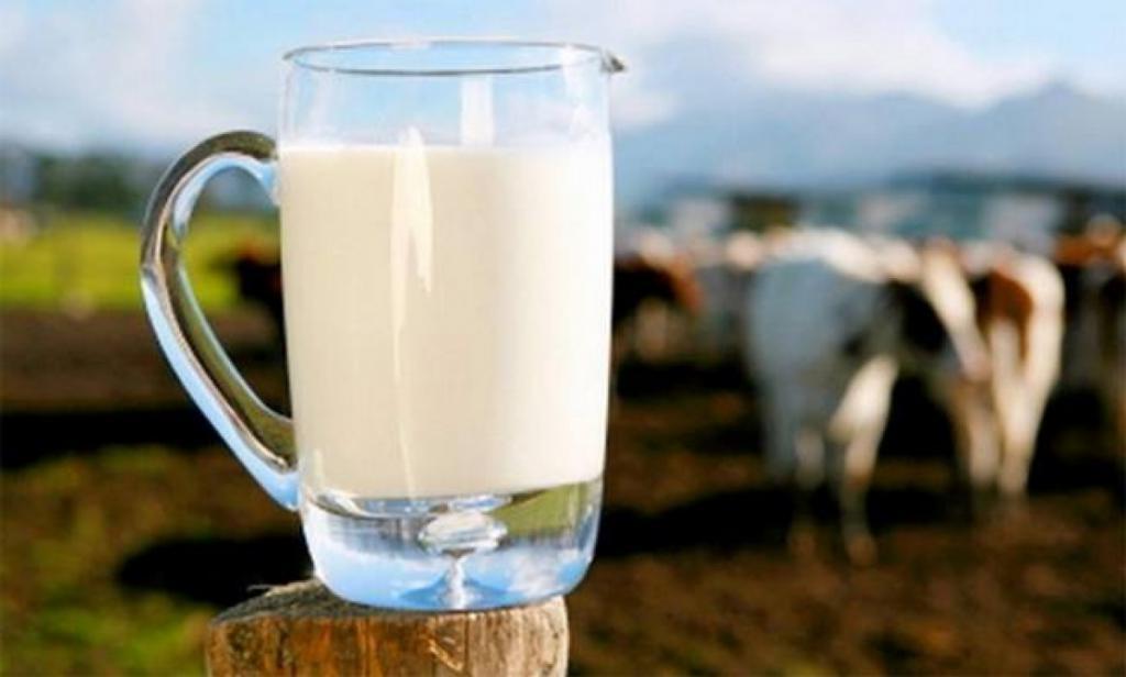 Что произойдет с телом человека, если он будет пить молоко каждый день: несколько положительных и негативных изменений