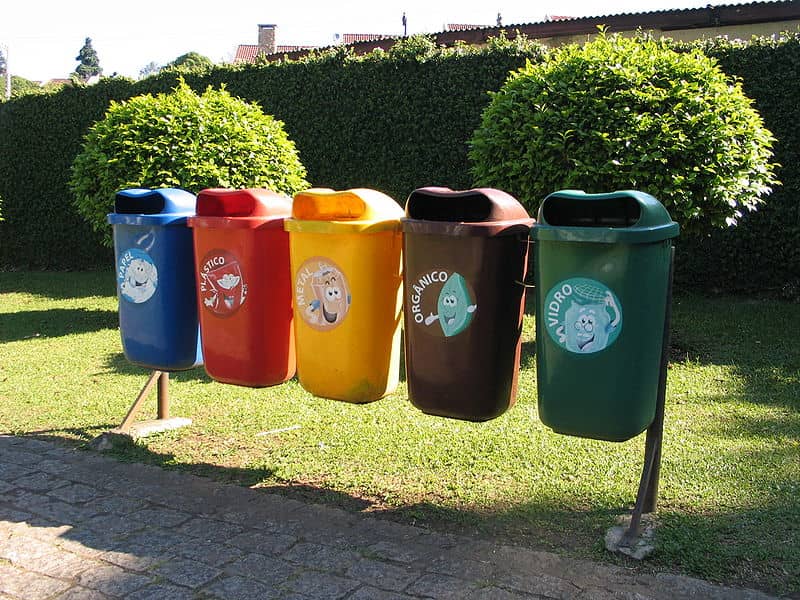 Сдать мусор в обмен на обед и проезд: самые креативные экологические инициативы современности