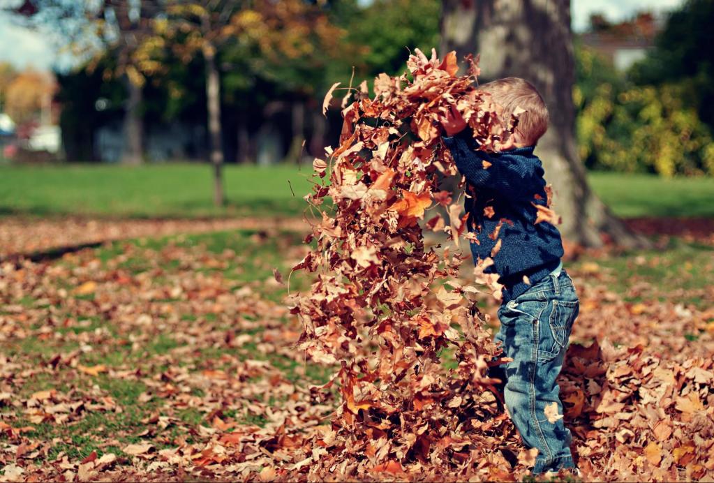 Осень имеет особый запах в сравнении с другими сезонами: почему и как это влияет на самочувствие
