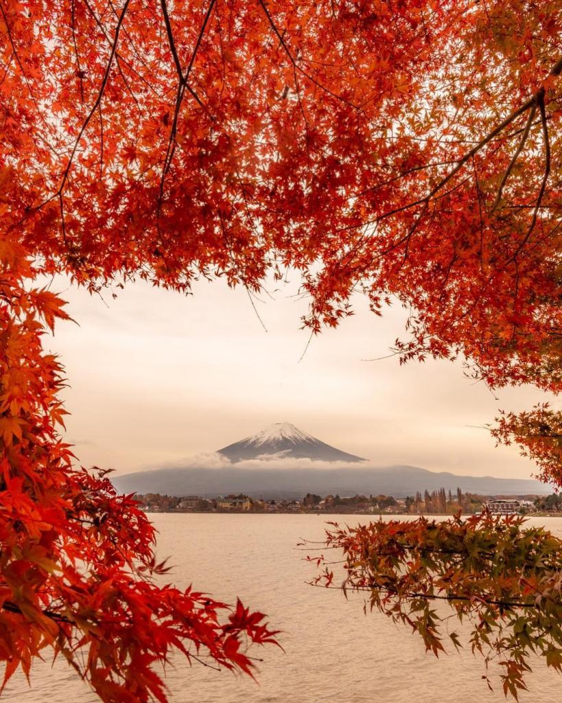 Такого буйства красок нет нигде: почему осень – лучший сезон для путешествий в Японию
