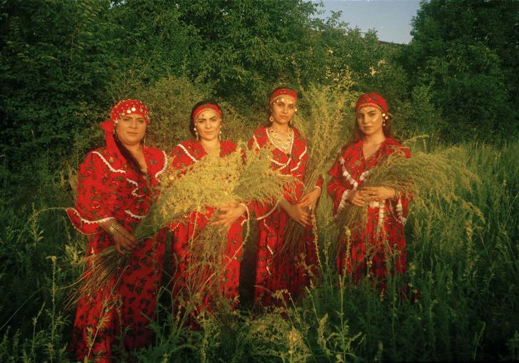 Любовь, деньги и адекватные наказания для своих врагов: ритуалы и традиции современных румынских ведьм глазами неравнодушного фотографа