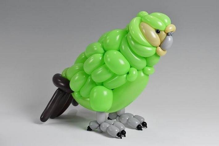 Мастер создает впечатляющих животных из воздушных шаров: как вам такой попугай?