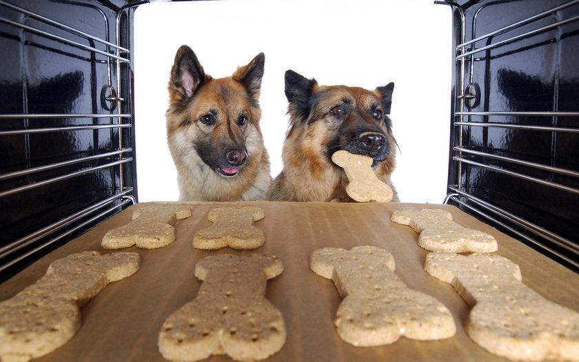 Рецепт домашнего печенья для собак, которое понравится вашему питомцу