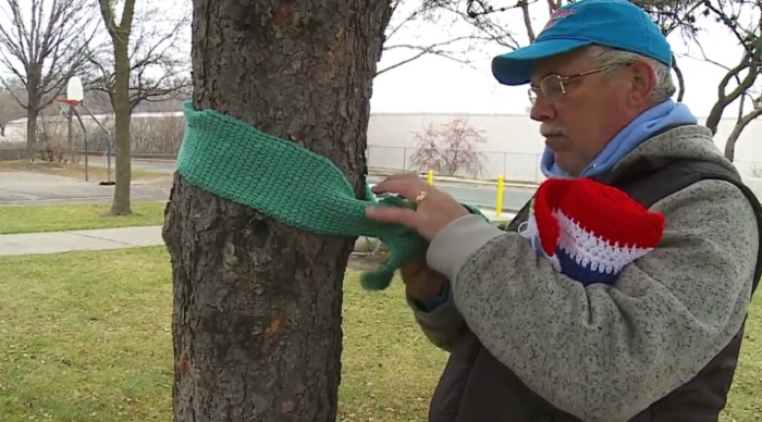 Зачем в некоторых странах люди привязывают шарфы к деревьям: опыт, который бы не мешало перенять