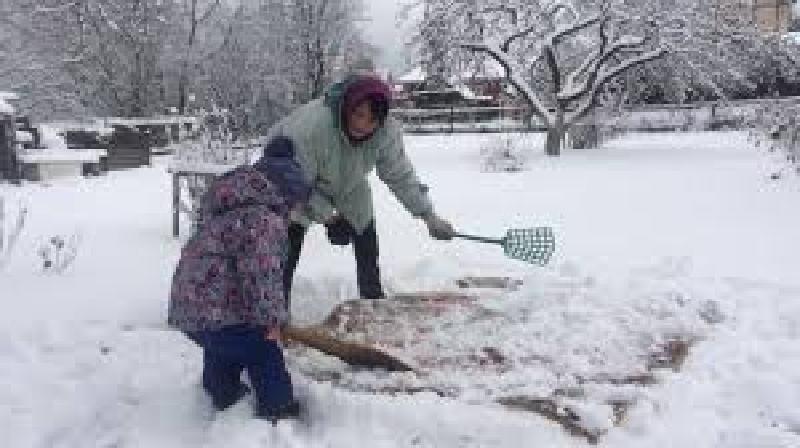 Восстановить чистоту и свежесть домашнего ковра поможет снег. Правила очистки