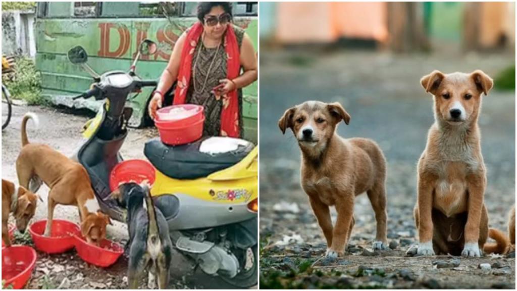 Индийская женщина продала свои драгоценности и взяла кредит в банке, чтобы накормить 400 бездомных собак