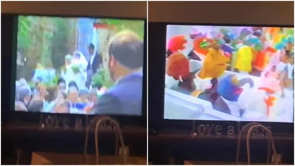 Свадебный видеограф вставил кадры из  Маппет шоу  в видео ничего не подозревающей пары: спустя 25 лет эти кадры  взорвали  Twitter