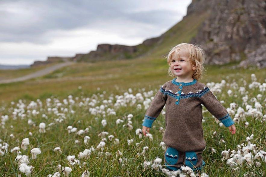 Фамилии исландцев   производные от имен отцов или матерей: как разобраться в уникальной древней традиции северного народа