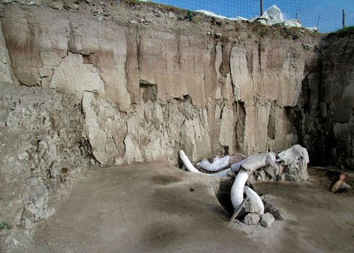 Археологи обнаружили ямы-ловушки для мамонтов, в которые первобытные люди загоняли животных 15 000 лет назад