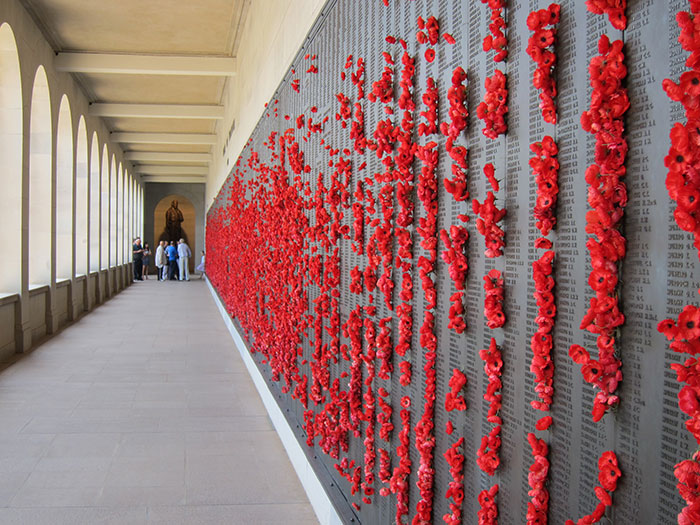 С памятника Неизвестному Солдату в Австралии начали пропадать цветы: оказалось, что это голубь решил свить себе гнездо из красных маков