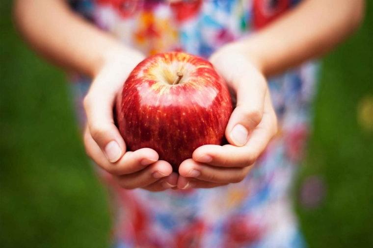 Собрали большой урожай яблок? Советы, как их можно использовать, не только употреблять в пищу