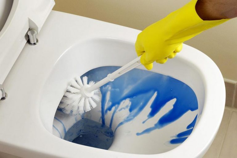 Две грубые ошибки, которые мы совершаем при очистке унитаза, превращая туалет в настоящий рассадник для бактерий