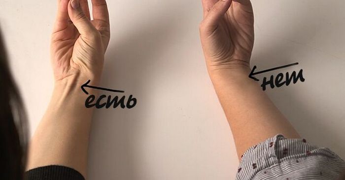 Соедините большой палец и мизинец на одной руке: на запястье может появиться сухожилие   что оно значит