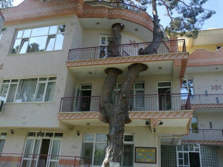 Кто сказал, что невозможно совместить балкон и огромное дерево? Фото, показывающие, как человек оберегает природу