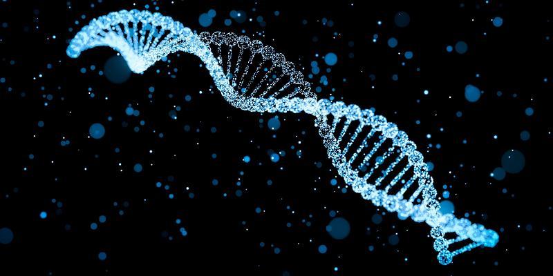 Ученые выяснили, что ДНК хранят данные о продолжительности жизни! Для человека это 38 лет